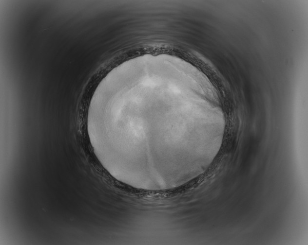 X0000087510823200705251617