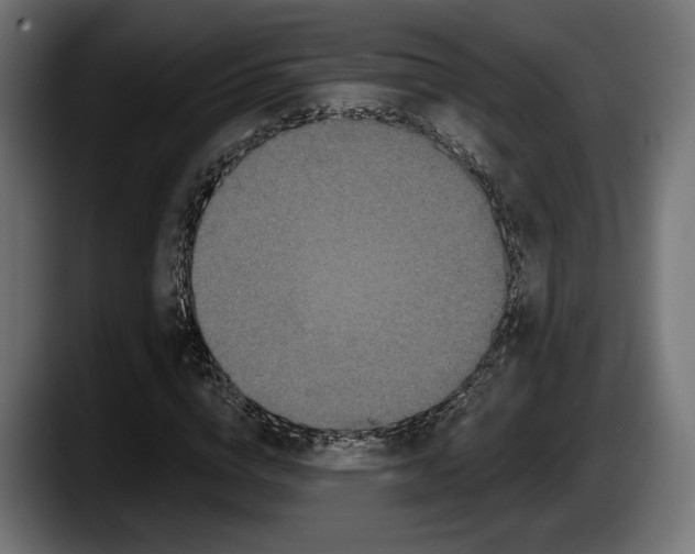 X0000087510824200705251617