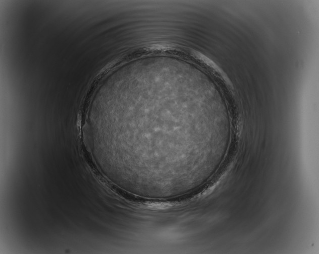 X0000087510825200705251617