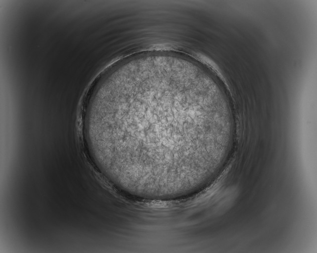 X0000087510827200705251617