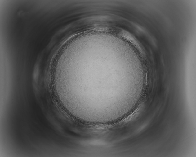 X0000087510828200705251617