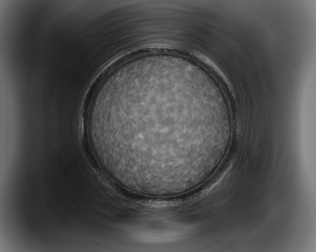 X0000087510829200705251617