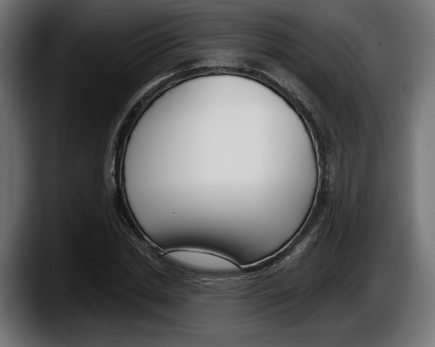 X0000087510830200705251617