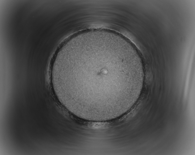 X0000087510832200705251617