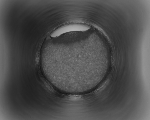 X0000087510833200705251617