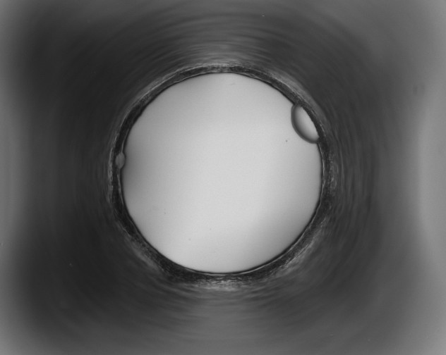 X0000087510834200705251617