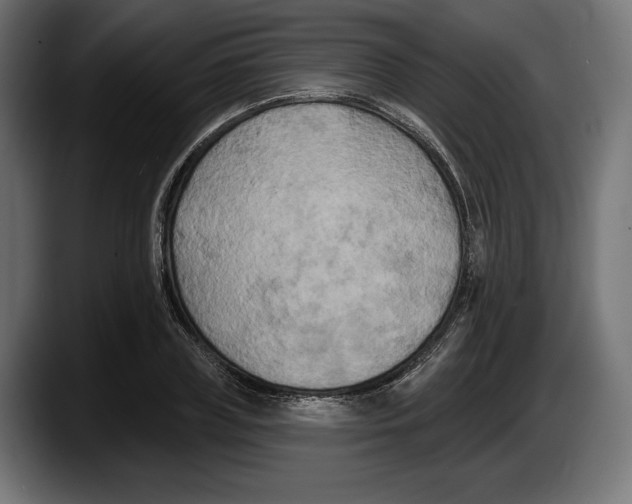 X0000087510835200705251617