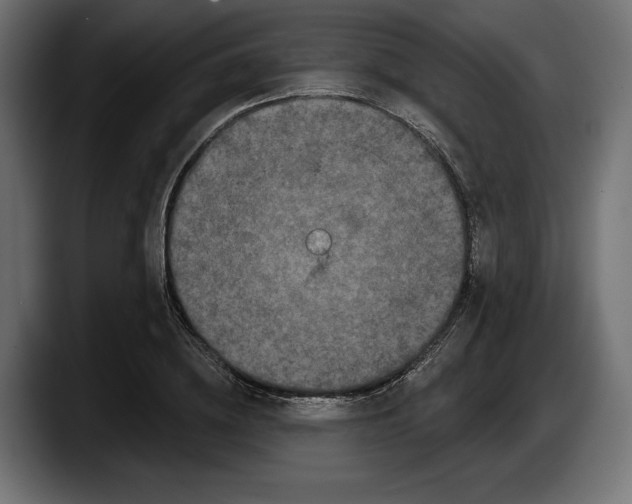 X0000087510836200705251617