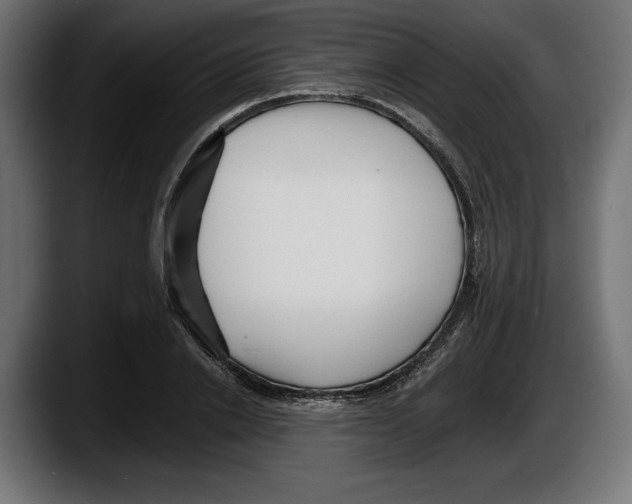 X0000087510838200705251617