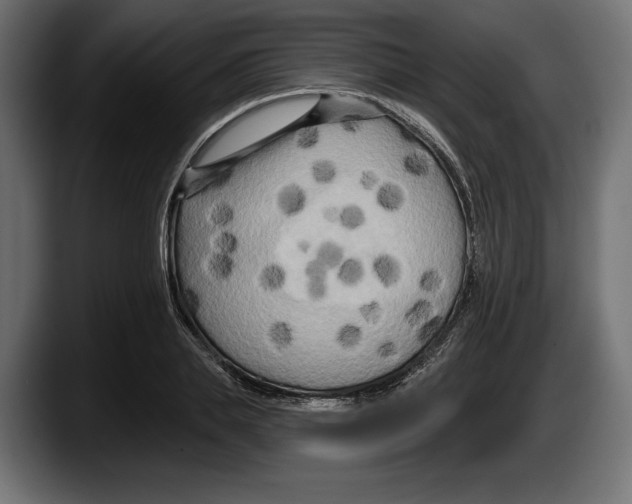 X0000087510839200705251617