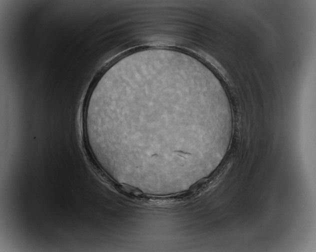 X0000087510840200705251617