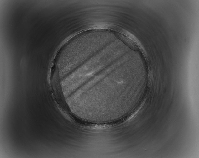 X0000087510842200705251617