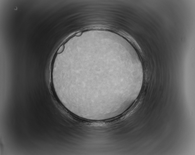 X0000087510844200705251617