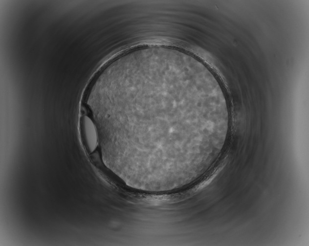 X0000087510845200705251617