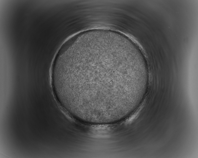 X0000087510846200705251617