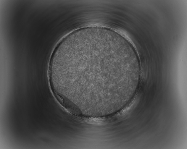 X0000087510847200705251617