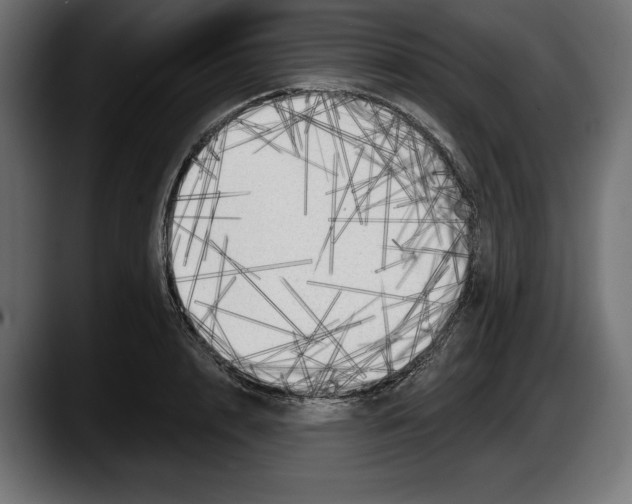 X0000087510848200705251617