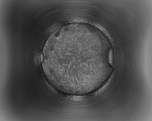 X0000087510849200705251617