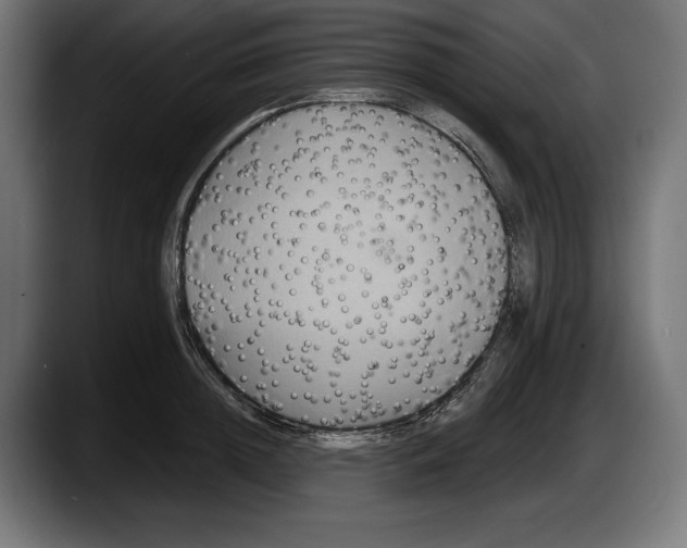 X0000087510852200705251617