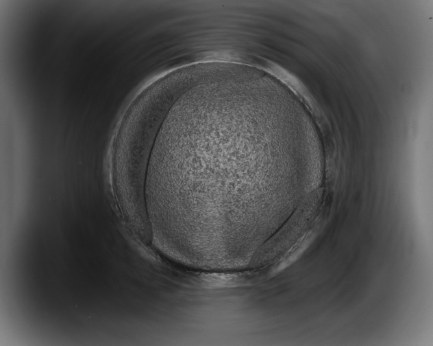 X0000087510854200705251617