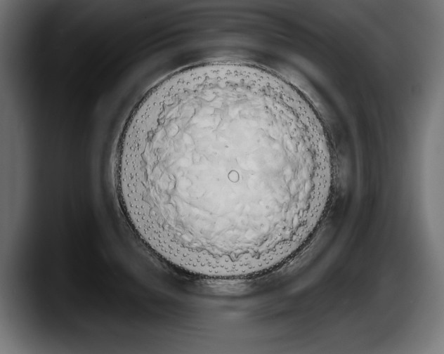 X0000087510856200705251617