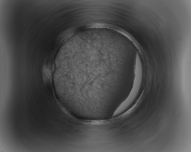 X0000087510857200705251617