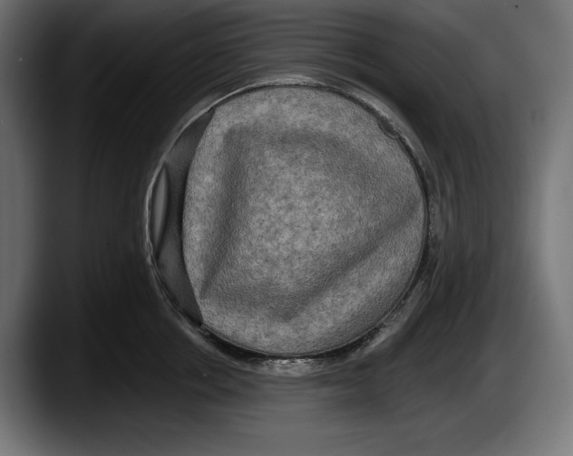 X0000087510858200705251617