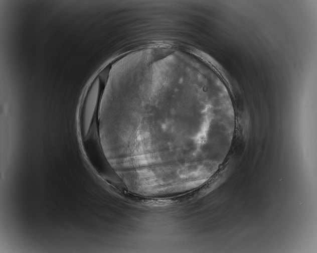 X0000087510859200705251617