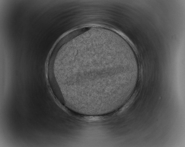 X0000087510862200705251618