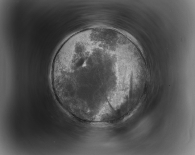 X0000087510863200705251618