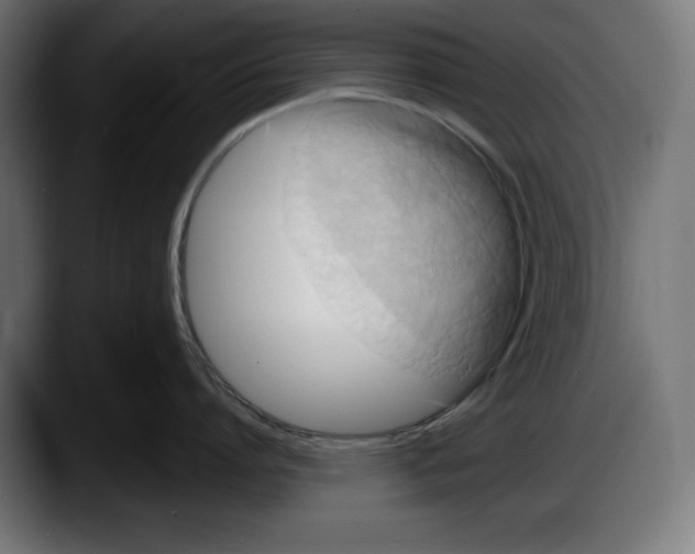 X0000087510864200705251618