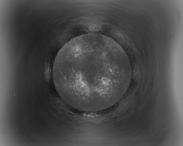 X0000087510866200705251617