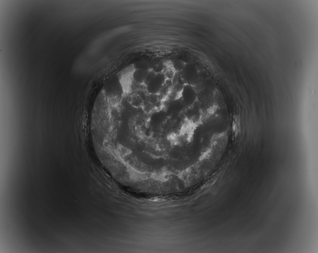 X0000087510867200705251617