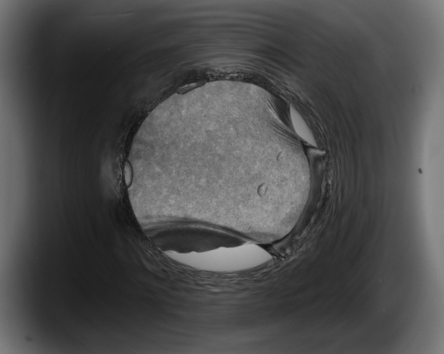 X0000087510868200705251617