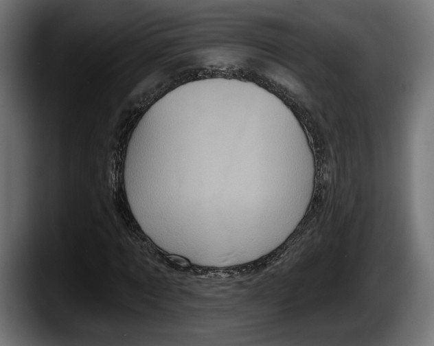 X0000087510869200705251617