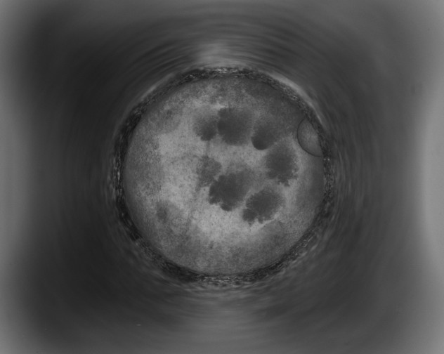 X0000087510871200705251617