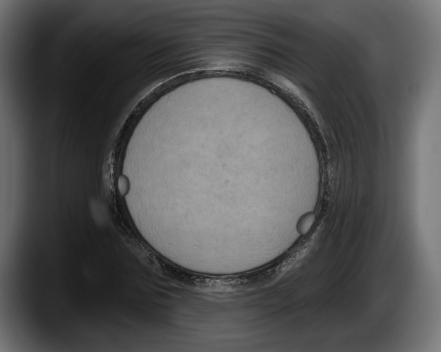 X0000087510875200705251617