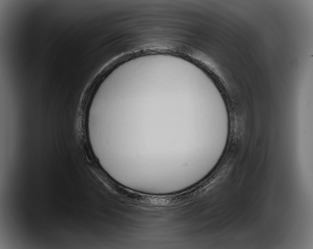 X0000087510878200705251617