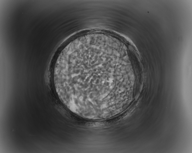 X0000087510879200705251617