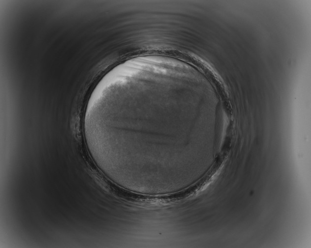 X0000087510881200705251617