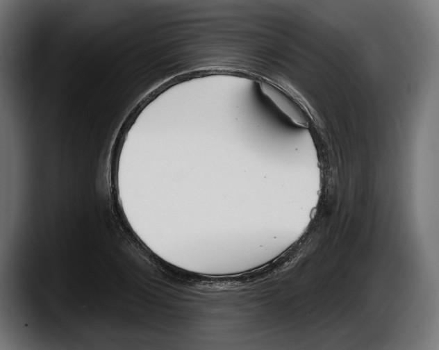 X0000087510884200705251616