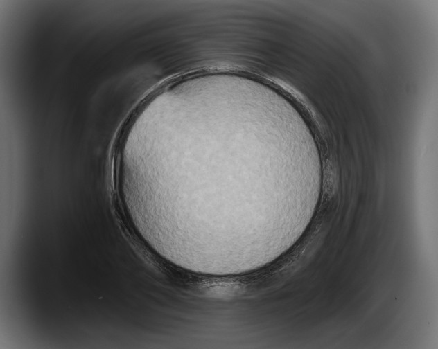 X0000087510886200705251616