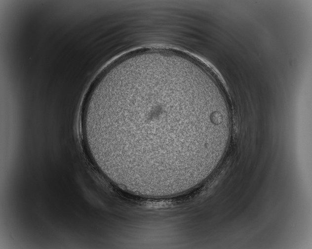 X0000087510887200705251616