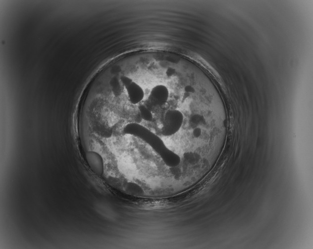 X0000087510891200705251616