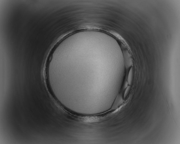 X0000087510893200705251616