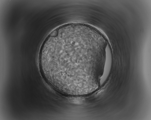 X0000087510895200705251616