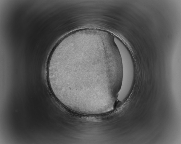 X0000087510896200705251616