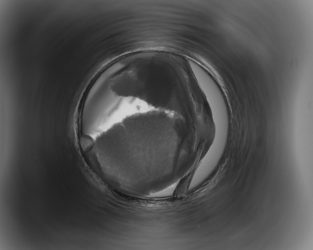 X0000087510899200705251616