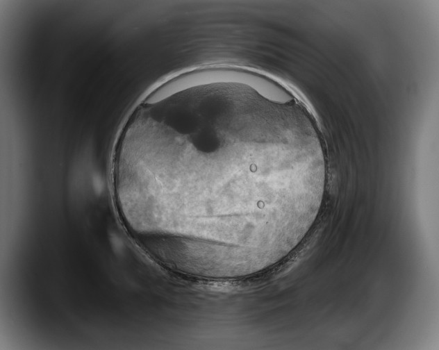 X0000087510903200705251616