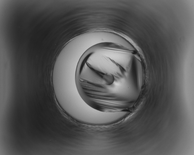 X0000087510905200705251616